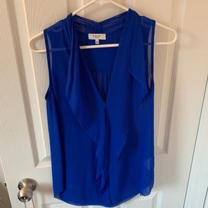 Aritzia Babaton blue blouse